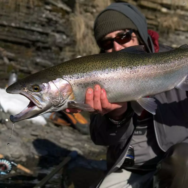 Cortland 444 Big Shot 8 Cortland 444 Big Shot - Image 6