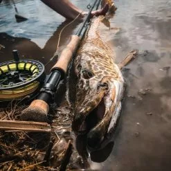 Cortland Competition MKII Rod -Fly Lines & Leaders Sales cortland competition mkii rod 4