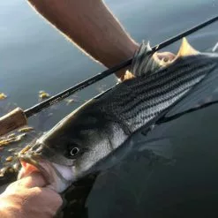 Cortland Competition MKII Rod -Fly Lines & Leaders Sales cortland competition mkii rod 5