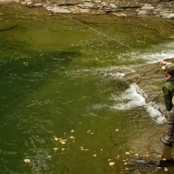 Cortland Euro Nymph Braid Core -Fly Lines & Leaders Sales cortland euro nymph braid core 2