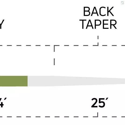 Cortland Salmon Steelhead 4 Cortland Salmon Steelhead - Image 2