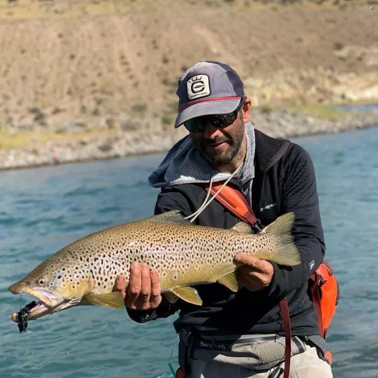 Cortland Streamer Sink Tip 10 8 Cortland Streamer Sink Tip 10 - Image 6