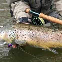 Douglas DXF -Fly Lines & Leaders Sales douglas dxf 2