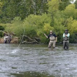 Douglas DXF -Fly Lines & Leaders Sales douglas dxf 3