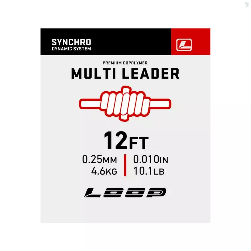 Loop Synchro Multileader 3 Loop Synchro Multileader