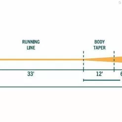 RIO Products RIO Avid Gold 8 RIO Products RIO Avid Gold -Fly Lines & Leaders Sales rio avid gold 2