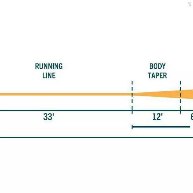 RIO Products RIO Avid Gold 5 RIO Products RIO Avid Gold - Image 3