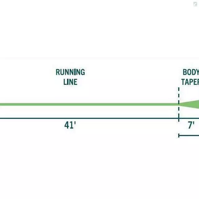 RIO Products RIO Avid Grand 5 RIO Products RIO Avid Grand - Image 3