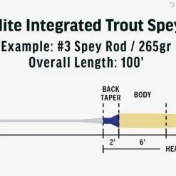 RIO Products RIO Elite Integrated Trout Spey -Fly Lines & Leaders Sales rio elite integrated trout spey 2