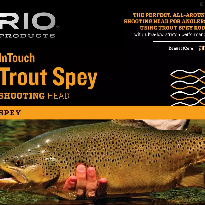 RIO Products RIO InTouch Trout Spey Shooting Head 3 RIO Products RIO InTouch Trout Spey Shooting Head