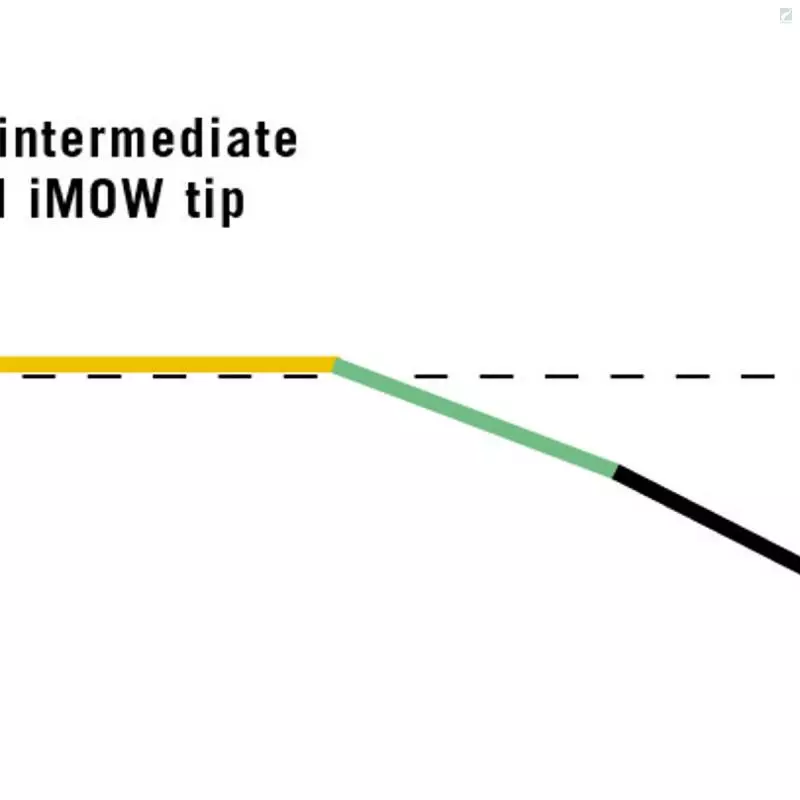 RIO Products RIO Skagit IMOW Tips 5 RIO Products RIO Skagit IMOW Tips - Image 3