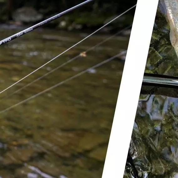 TFO - Temple Fork Oufitters TFO Blue Ribbon 5 TFO - Temple Fork Oufitters TFO Blue Ribbon - Image 3