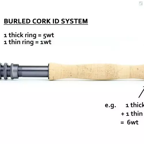 TFO - Temple Fork Oufitters TFO Mangrove Series 5 TFO - Temple Fork Oufitters TFO Mangrove Series - Image 3
