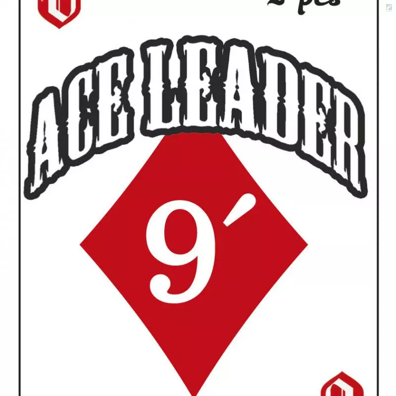 Vision Ace Leader 5 Vision Ace Leader - Image 3