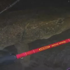 Vision Grand Daddy -Fly Lines & Leaders Sales vision grand daddy 2