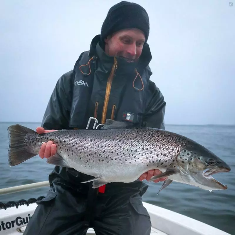 Vision Meri 6 Vision Meri - Image 4