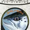 Vision Salmon Leader 1 Vision Salmon Leader -Fly Lines & Leaders Sales vision salmon leader